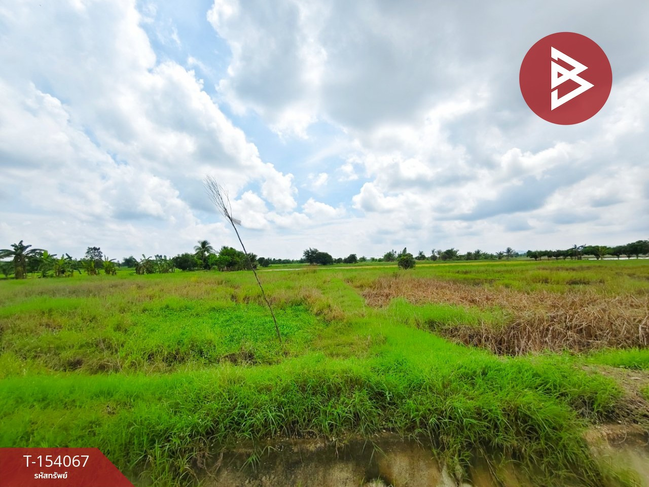 ขายที่ดิน เนื้อที่ 6 ไร่ 90.6 ตร.วา ท่าม่วง กาญจนบุรี