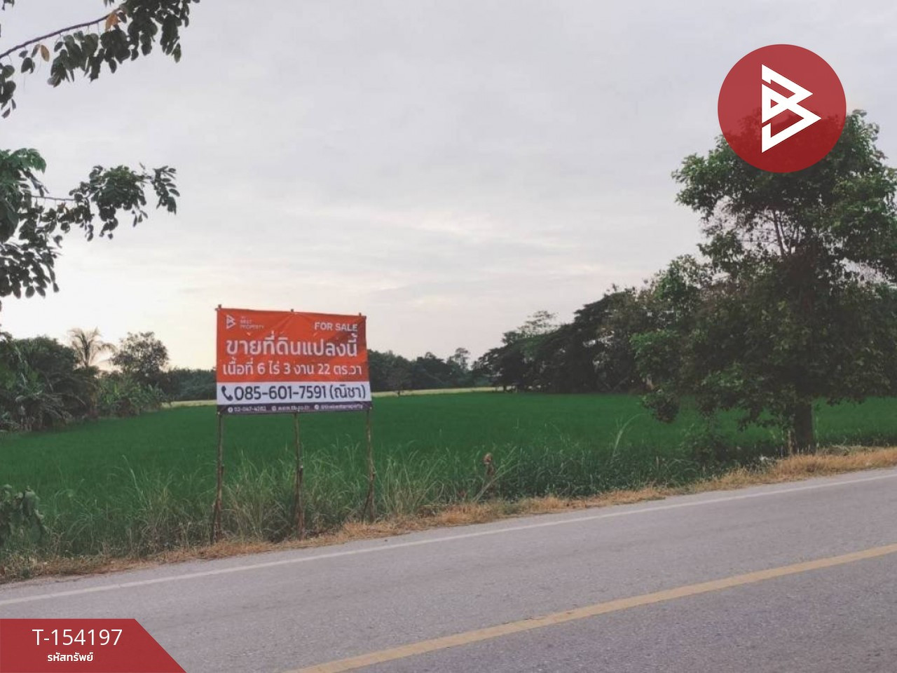 ขายที่ดิน เนื้อที่ 6 ไร่ 3 งาน 22 ตร.วา บึงพระ พิษณุโลก