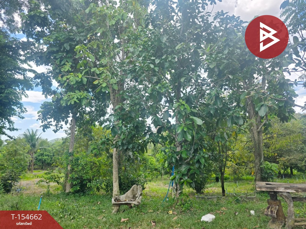 ขายที่ดินพร้อมสวน เนื้อที่ 6 ไร่ 3 งาน 2 ตร.วา หนองหญ้าปล้อง เพชรบุรี