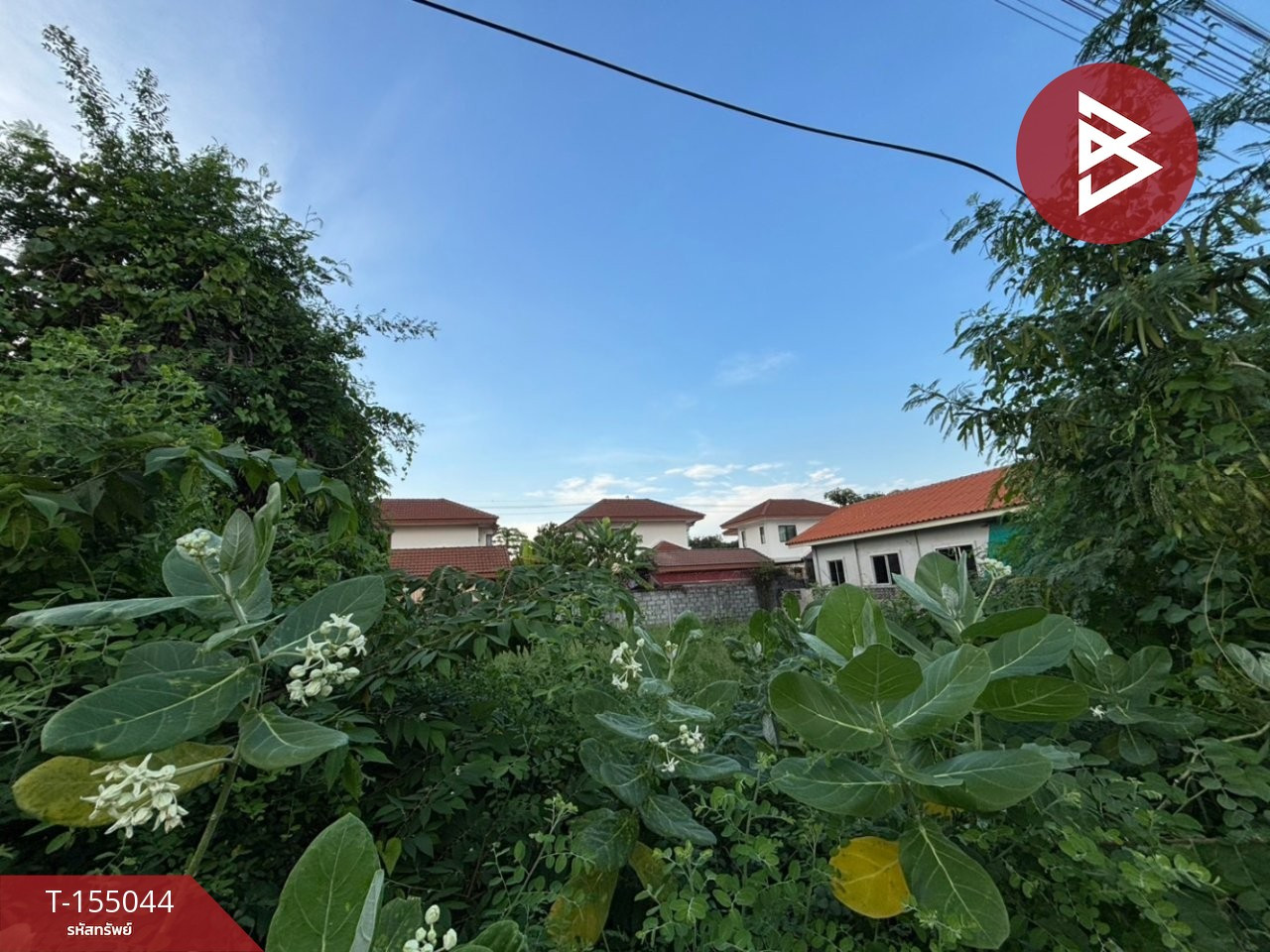 ขายที่ดินแปลงสวย เนื้อที่ 63 ตร.วา ซอยลำโพ 41 นนทบุรี ทำเลดี