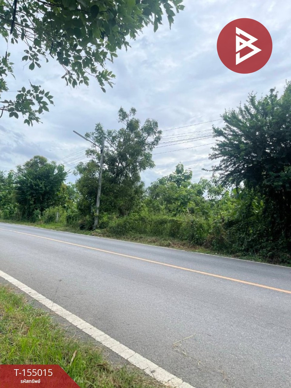 ขายที่ดิน เนื้อที่ 12 ไร่ 2 งาน 57.2 ตร.วา หนองหญ้าไซ สุพรรณบุรี ติดถนนใหญ่