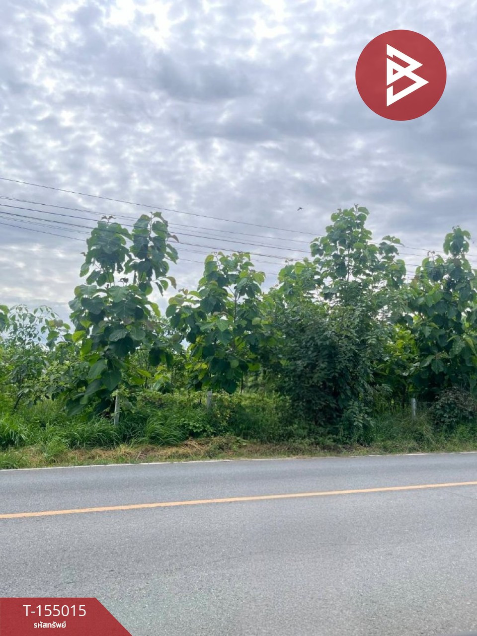 ขายที่ดิน เนื้อที่ 12 ไร่ 2 งาน 57.2 ตร.วา หนองหญ้าไซ สุพรรณบุรี ติดถนนใหญ่