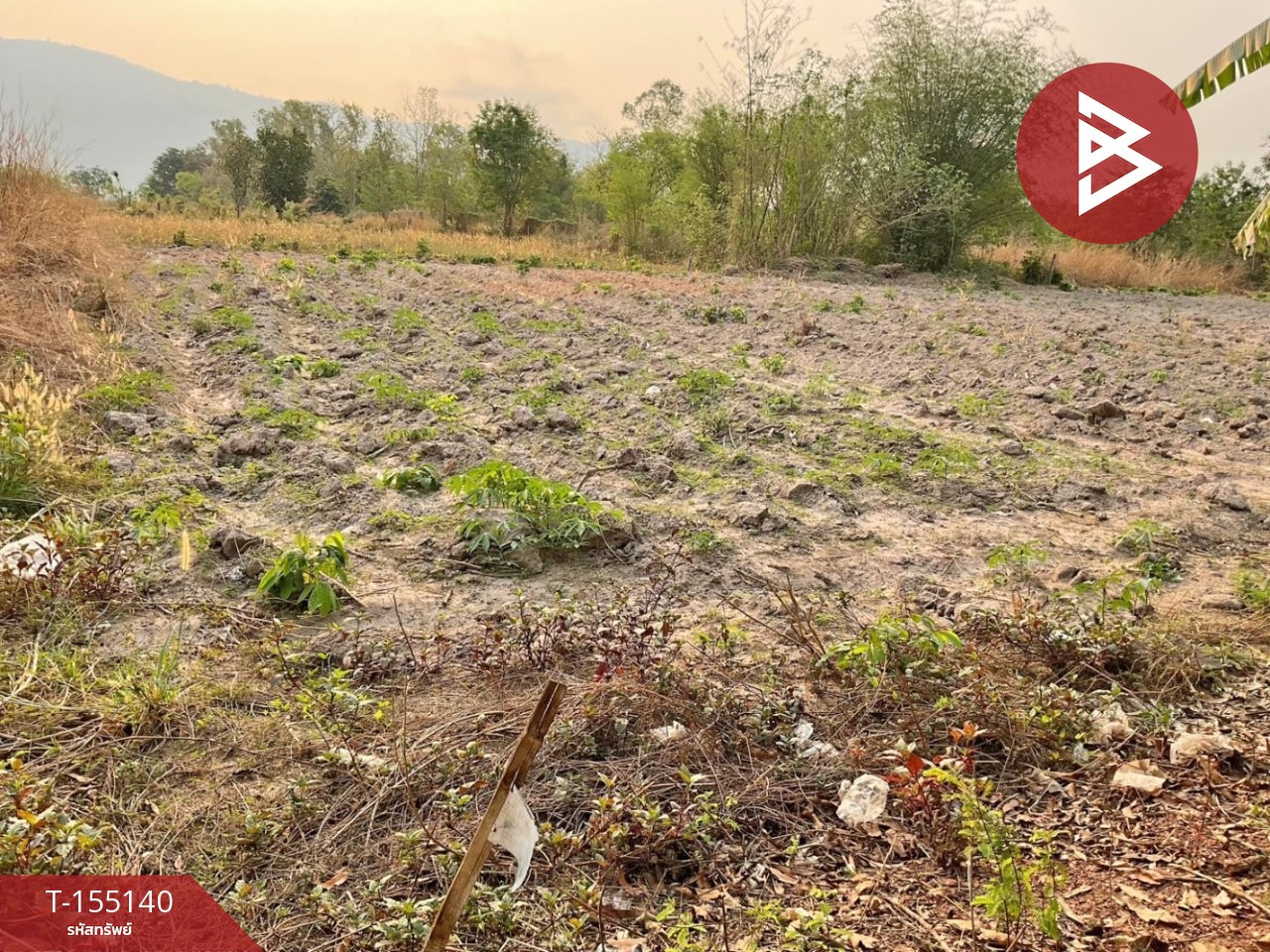 ขายที่ดินเปล่า เนื้อที่ 1 ไร่ 5 ตร.วา ติดตลาดทรัพย์ไพรวัลย์ อ.วังทอง จ.พิษณุโลก