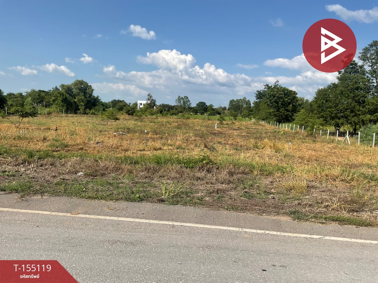 ขายที่ดินถมแล้ว เนื้อที่ 3 ไร่ 3 งาน 61 ตารางวา ติดขอบบึงราชนก อ.วังทอง จ.พิษณุโลก
