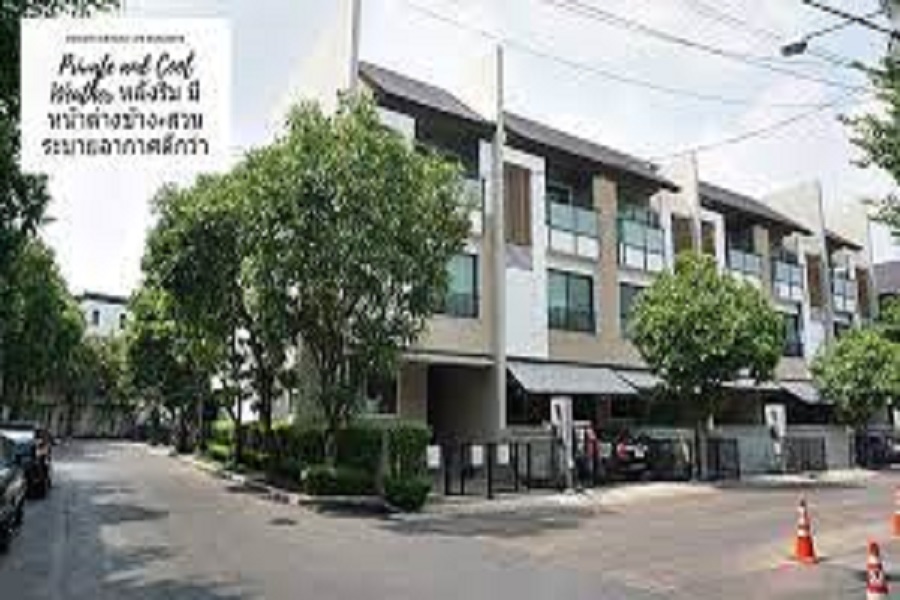 ไพรเวท-เนอวานา-ไลฟ์-เอ็กซ์คลูซีฟ-