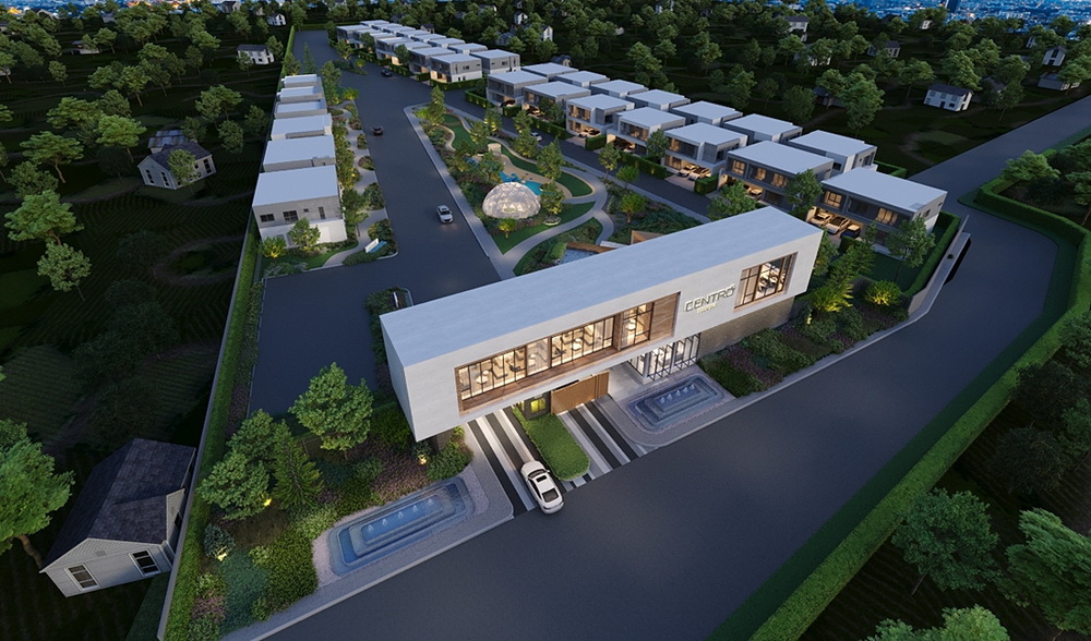 banner-project-details