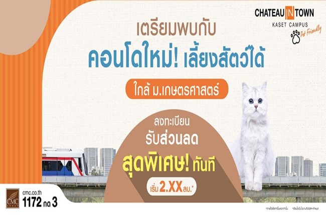 banner-project-details