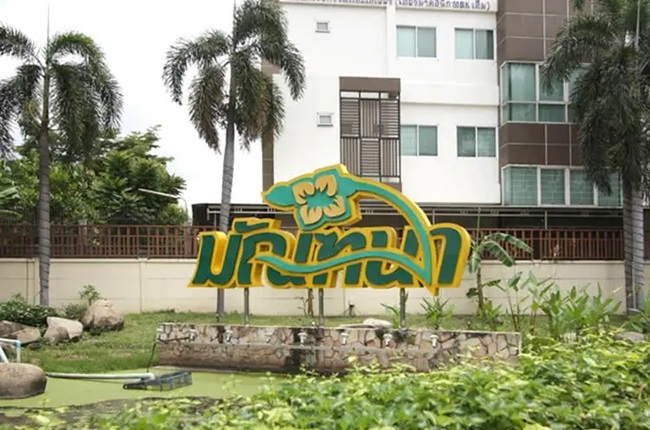 banner-project-details